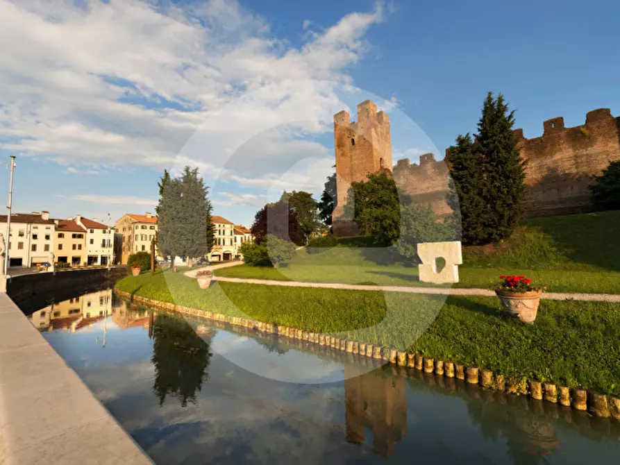 Immagine 1 di Negozio in affitto  a Castelfranco Veneto