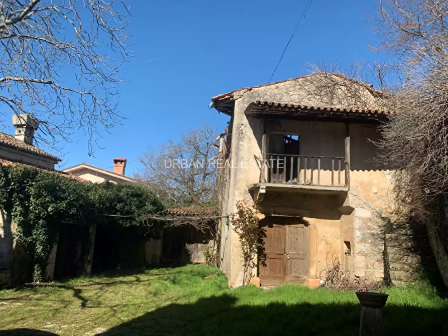 Immagine 2 di Rustico / casale in vendita  in Sales a Sgonico