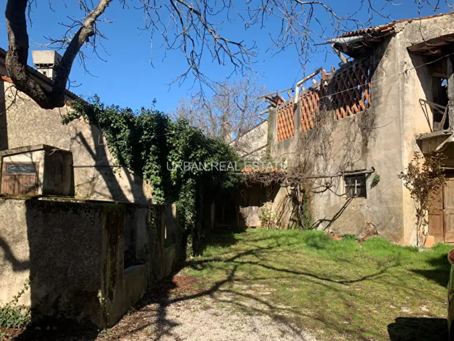 Immagine 3 di Rustico / casale in vendita  in Sales a Sgonico