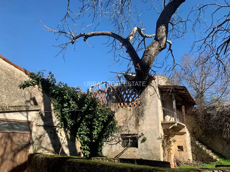 Immagine 4 di Rustico / casale in vendita  in Sales a Sgonico