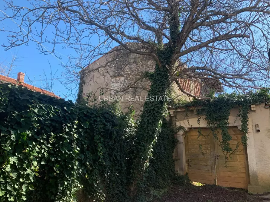 Immagine 5 di Rustico / casale in vendita  in Sales a Sgonico