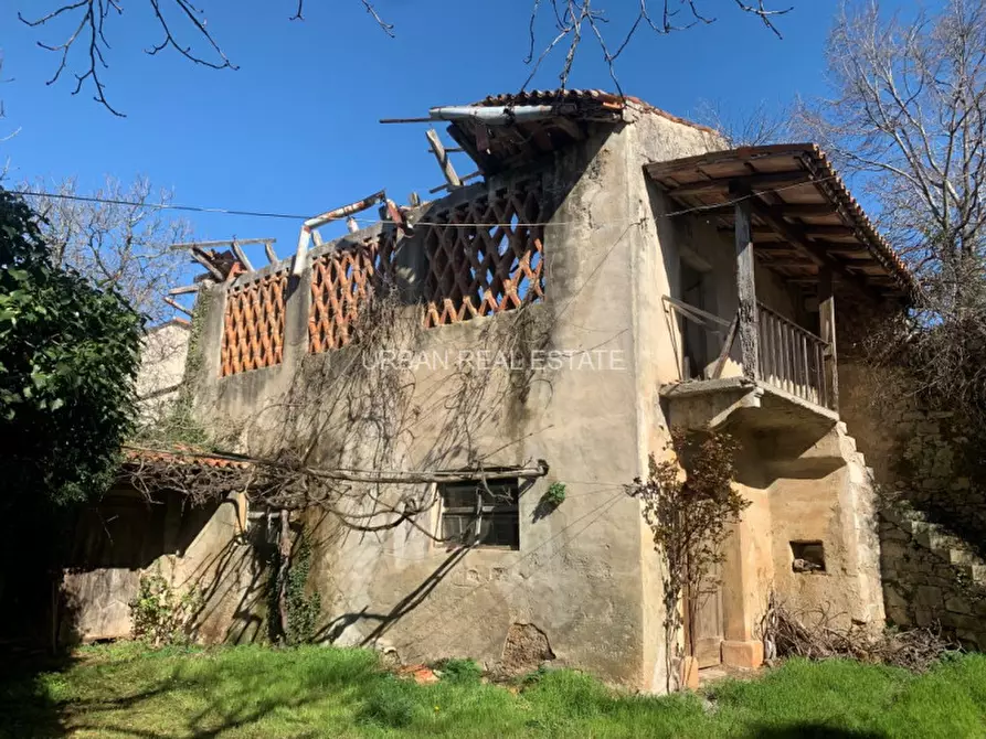 Immagine 8 di Rustico / casale in vendita  in Sales a Sgonico