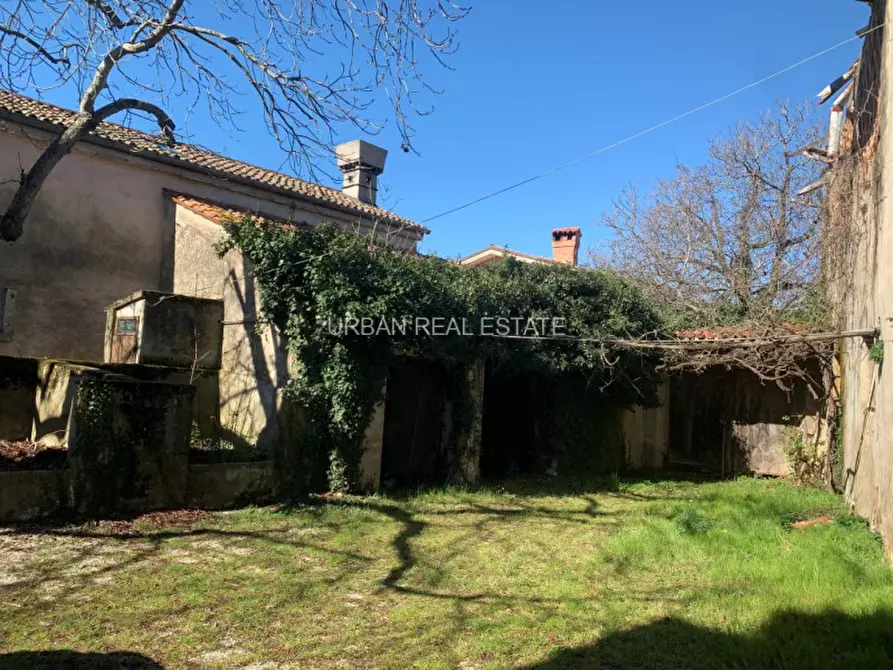 Immagine 9 di Rustico / casale in vendita  in Sales a Sgonico