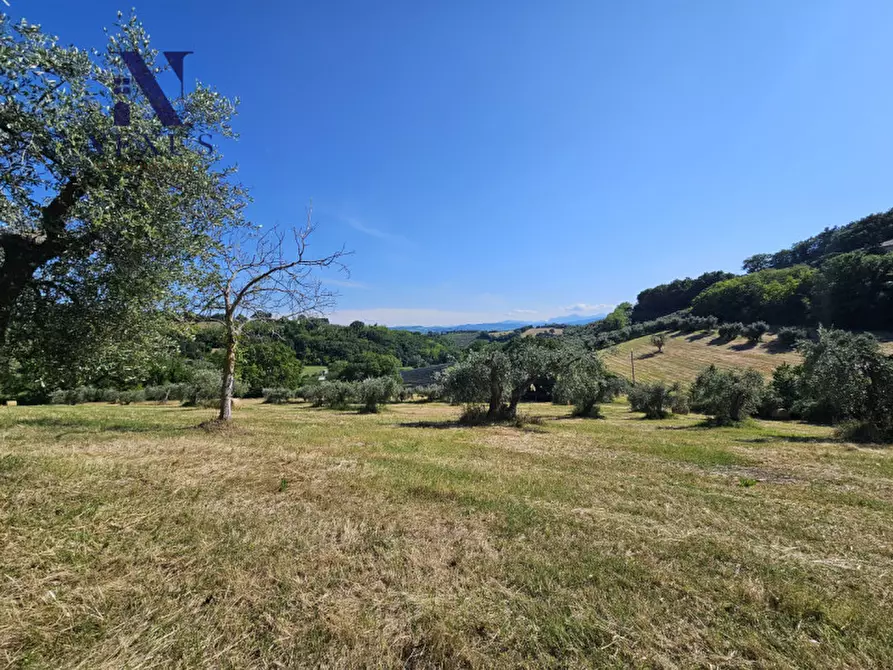 Immagine 2 di Casa indipendente in vendita  a Cartoceto