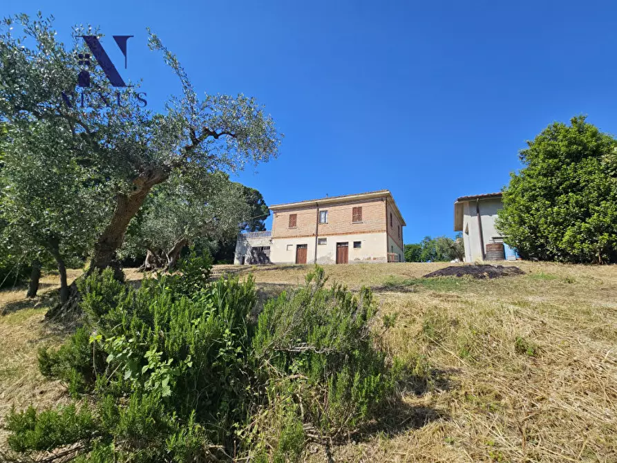 Immagine 3 di Casa indipendente in vendita  a Cartoceto