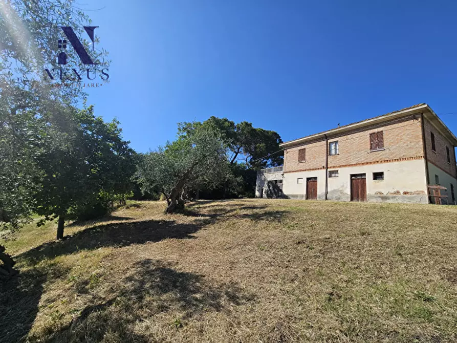 Immagine 4 di Casa indipendente in vendita  a Cartoceto