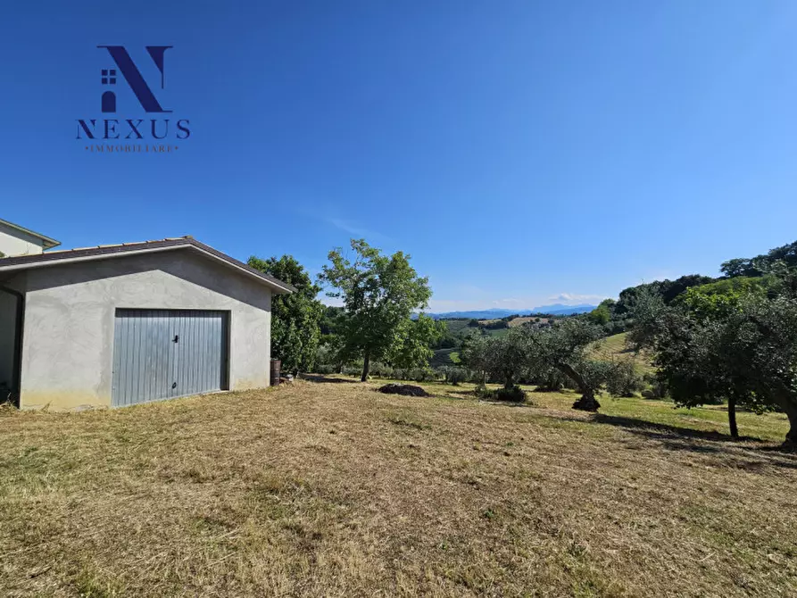 Immagine 6 di Casa indipendente in vendita  a Cartoceto