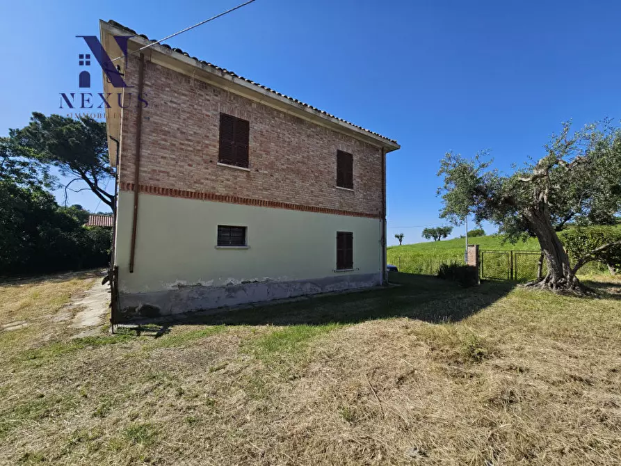 Immagine 8 di Casa indipendente in vendita  a Cartoceto