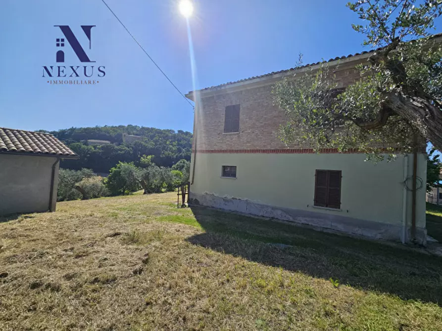 Immagine 9 di Casa indipendente in vendita  a Cartoceto