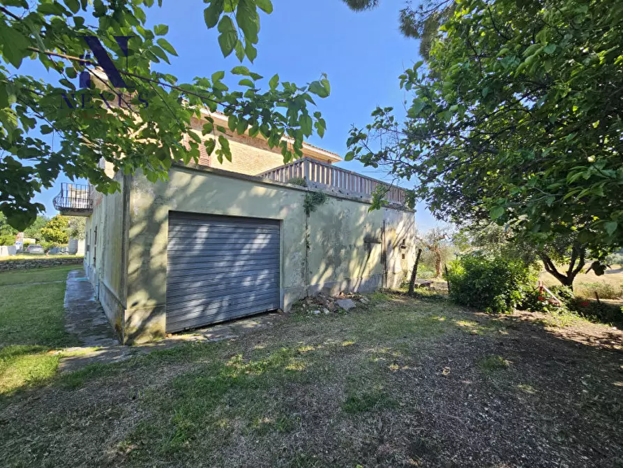 Immagine 12 di Casa indipendente in vendita  a Cartoceto