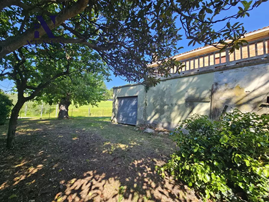 Immagine 13 di Casa indipendente in vendita  a Cartoceto