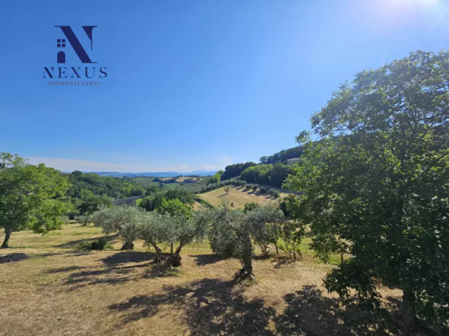 Immagine 17 di Casa indipendente in vendita  a Cartoceto