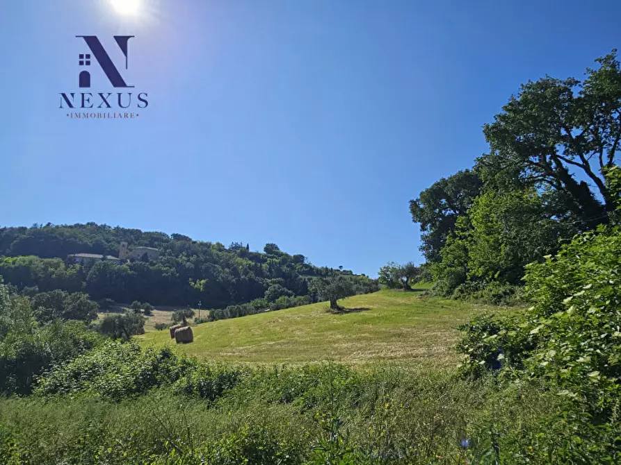 Immagine 19 di Casa indipendente in vendita  a Cartoceto