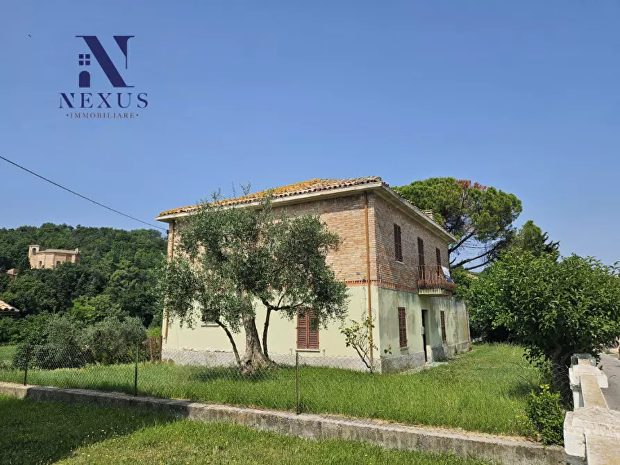 Immagine 24 di Casa indipendente in vendita  a Cartoceto