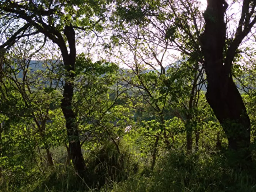 Immagine 31 di Villa in vendita  a Arqua' Petrarca