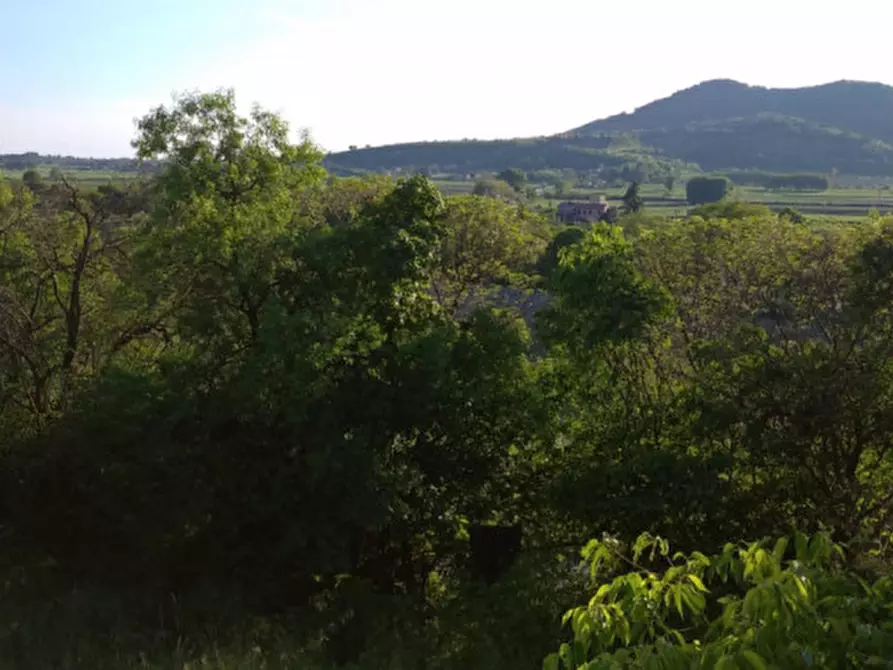 Immagine 32 di Villa in vendita  a Arqua' Petrarca