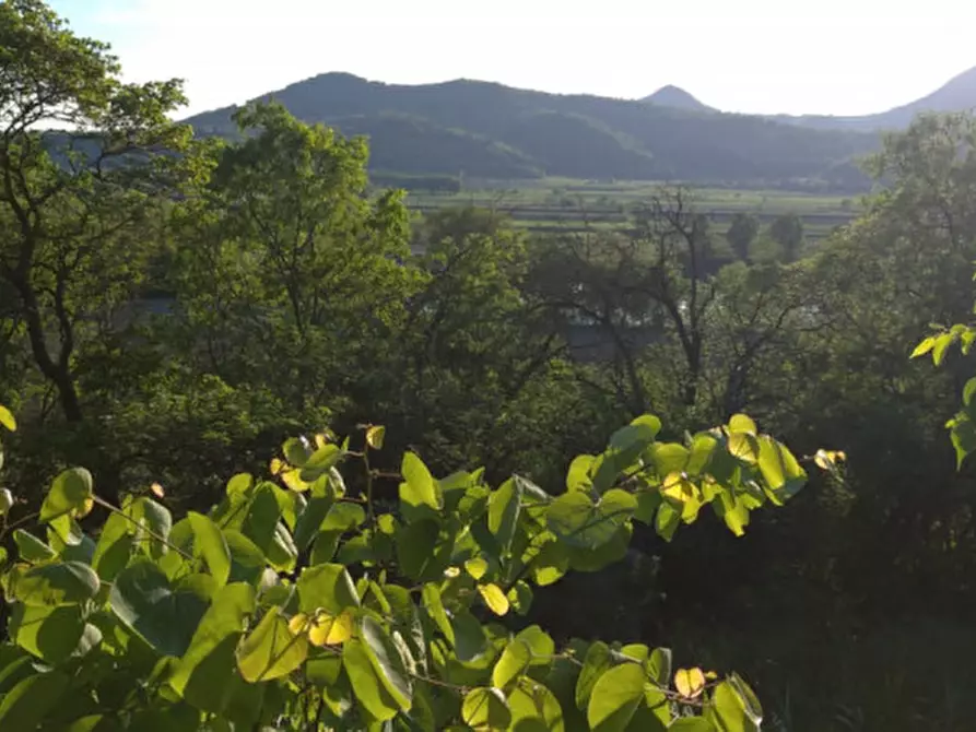 Immagine 33 di Villa in vendita  a Arqua' Petrarca