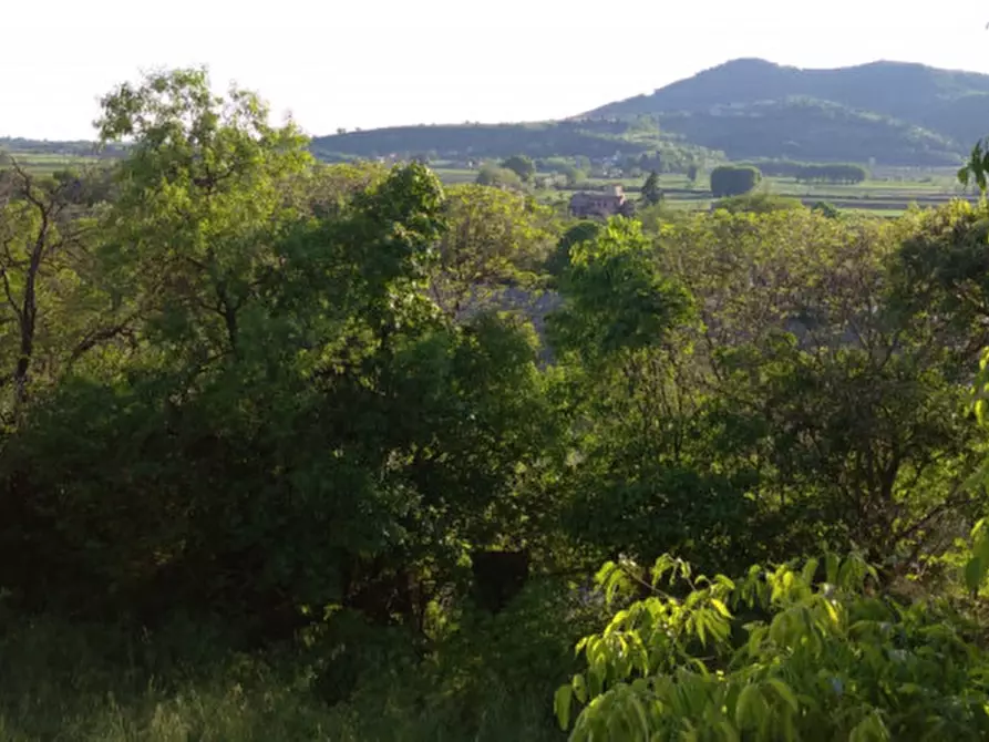 Immagine 34 di Villa in vendita  a Arqua' Petrarca