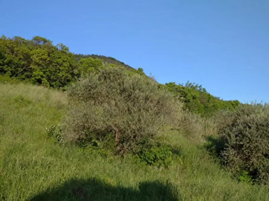 Immagine 35 di Villa in vendita  a Arqua' Petrarca