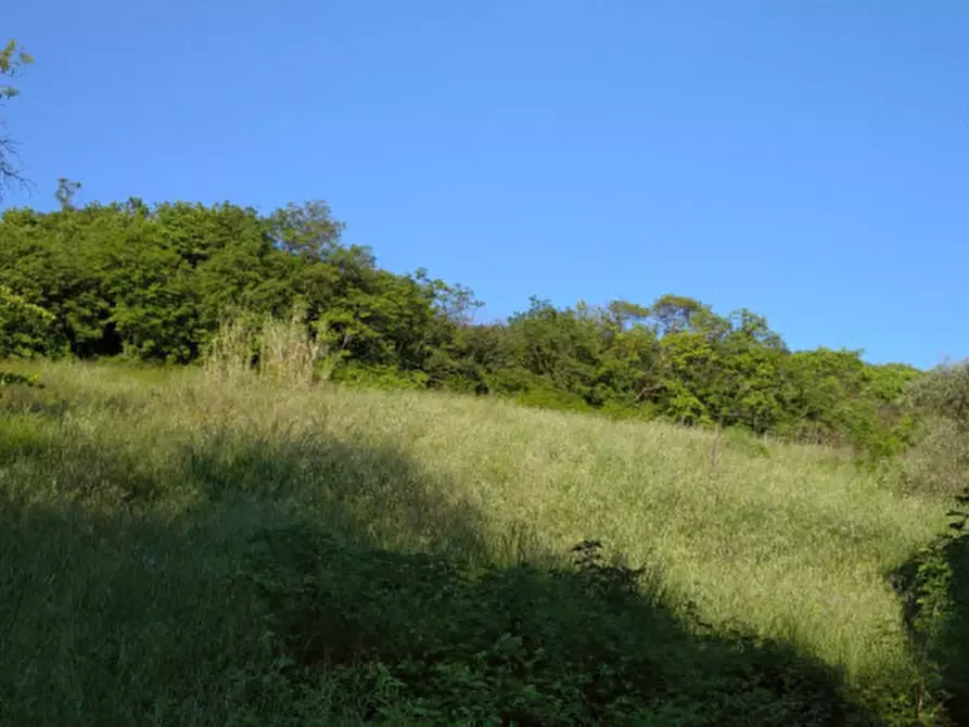 Immagine 36 di Villa in vendita  a Arqua' Petrarca