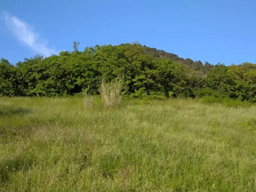 Immagine 38 di Villa in vendita  a Arqua' Petrarca