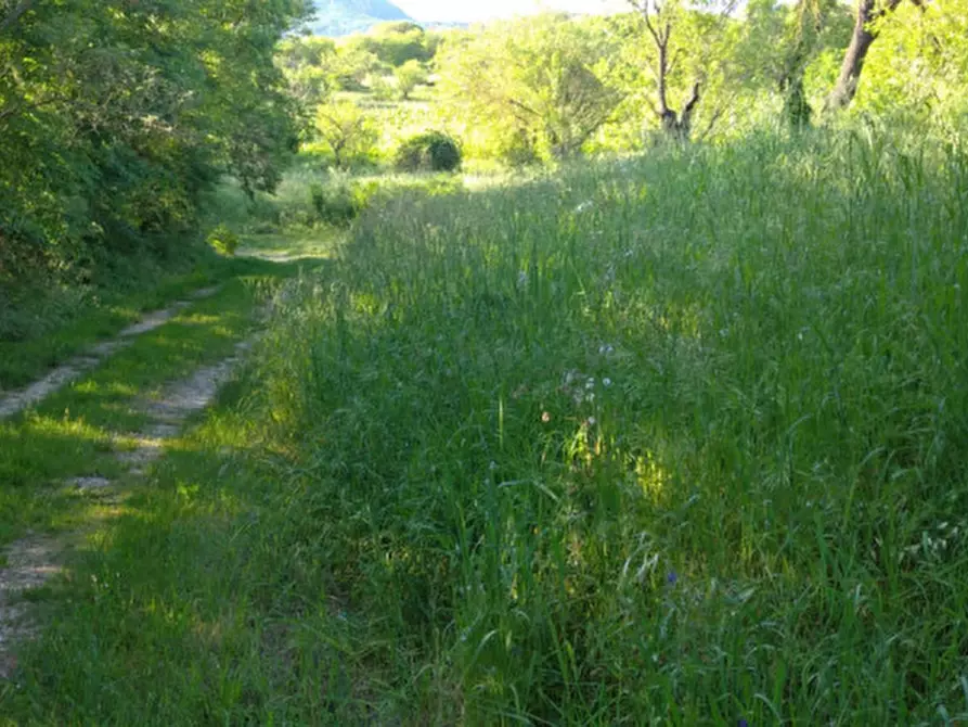 Immagine 39 di Villa in vendita  a Arqua' Petrarca