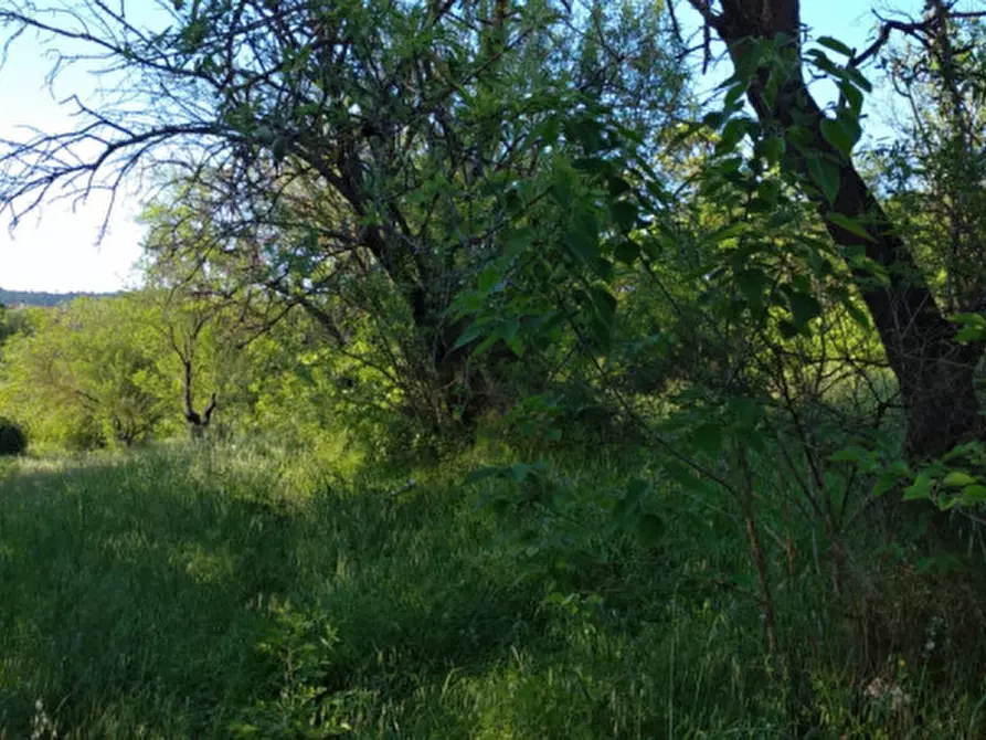 Immagine 40 di Villa in vendita  a Arqua' Petrarca