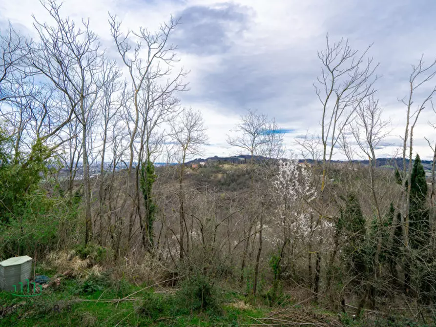 Immagine 47 di Villa in vendita  in Via G. Tomasi a Monte San Pietro