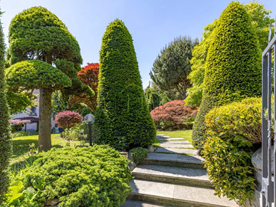 Immagine 3 di Villa in vendita  a Montorfano