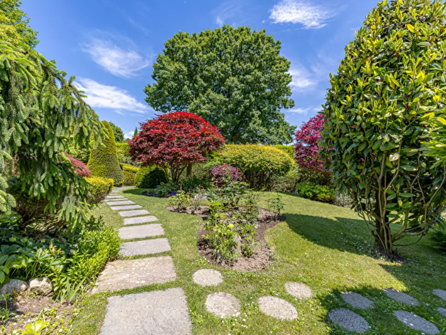 Immagine 5 di Villa in vendita  a Montorfano