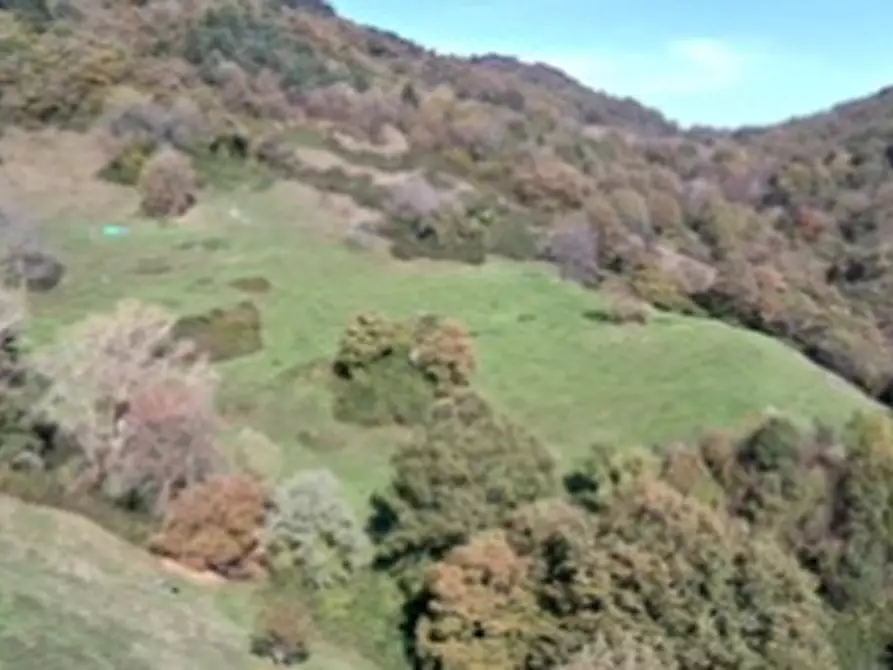 Immagine 36 di Palazzo in vendita  in LOCALITÀ MOIE a Caprino Veronese