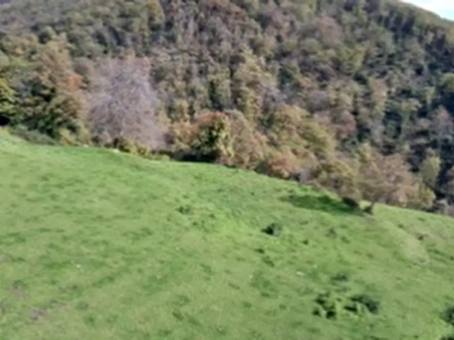 Immagine 37 di Palazzo in vendita  in LOCALITÀ MOIE a Caprino Veronese