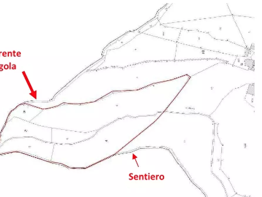 Immagine 44 di Palazzo in vendita  in LOCALITÀ MOIE a Caprino Veronese