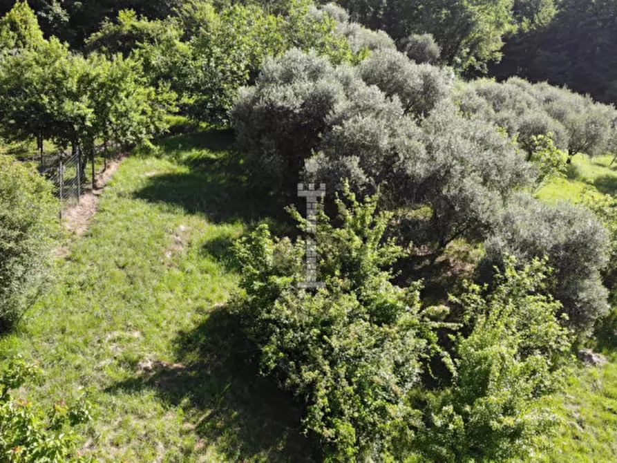 Immagine 3 di Terreno in vendita  in Via Salarola, 48 a Marostica