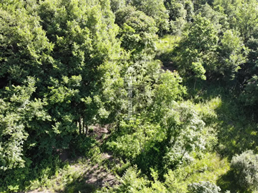 Immagine 4 di Terreno in vendita  in Via Salarola, 48 a Marostica