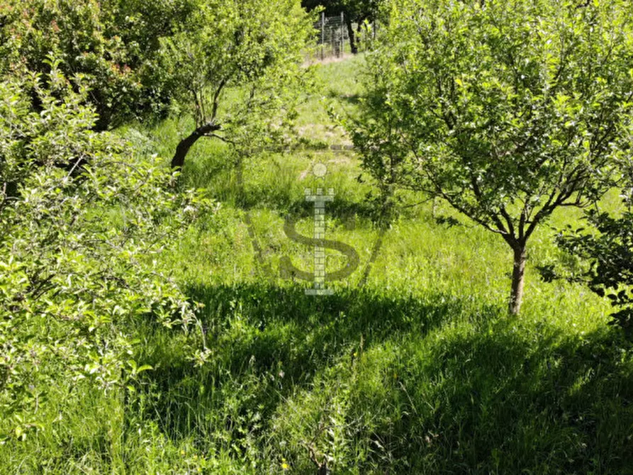 Immagine 6 di Terreno in vendita  in Via Salarola, 48 a Marostica