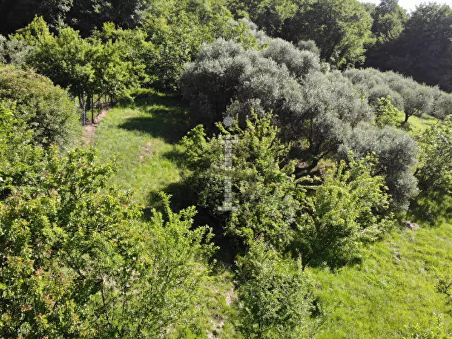 Immagine 7 di Terreno in vendita  in Via Salarola, 48 a Marostica