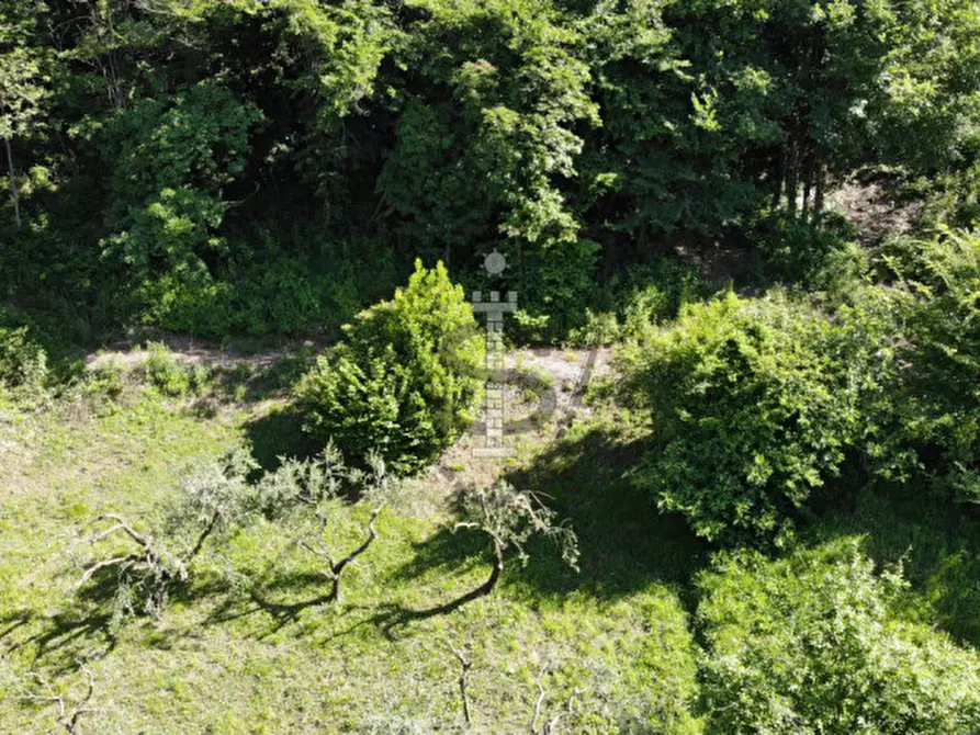 Immagine 8 di Terreno in vendita  in Via Salarola, 48 a Marostica