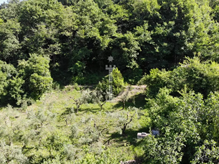 Immagine 9 di Terreno in vendita  in Via Salarola, 48 a Marostica