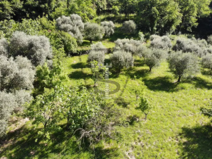 Immagine 10 di Terreno in vendita  in Via Salarola, 48 a Marostica