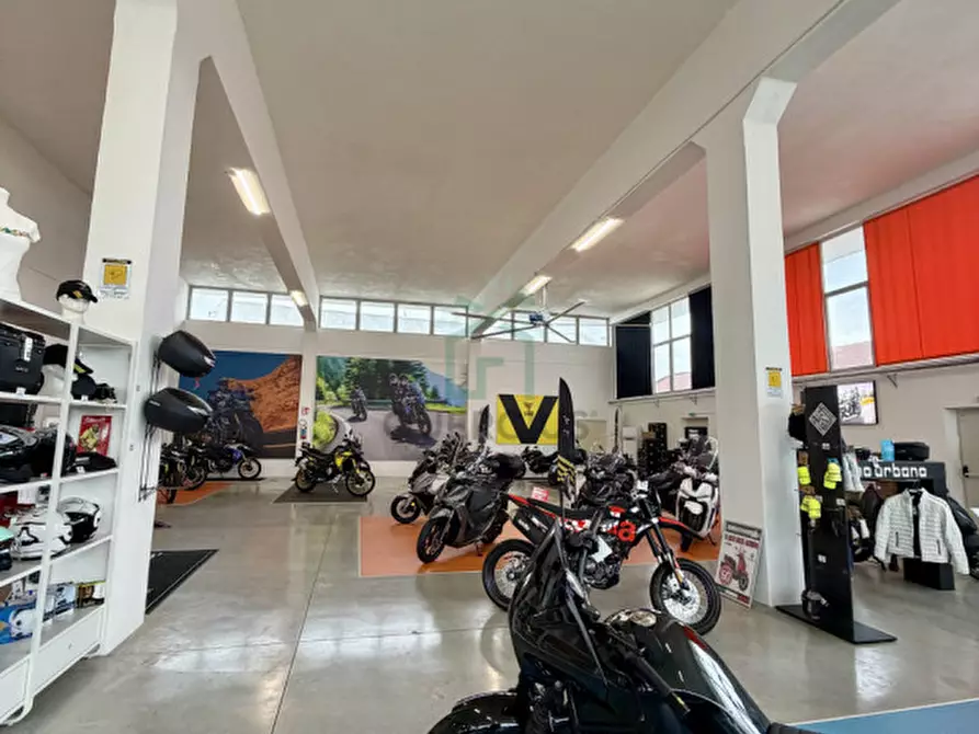 Immagine 18 di Capannone industriale in vendita  in VIA ANGELO MESSEDAGLIA a Verona