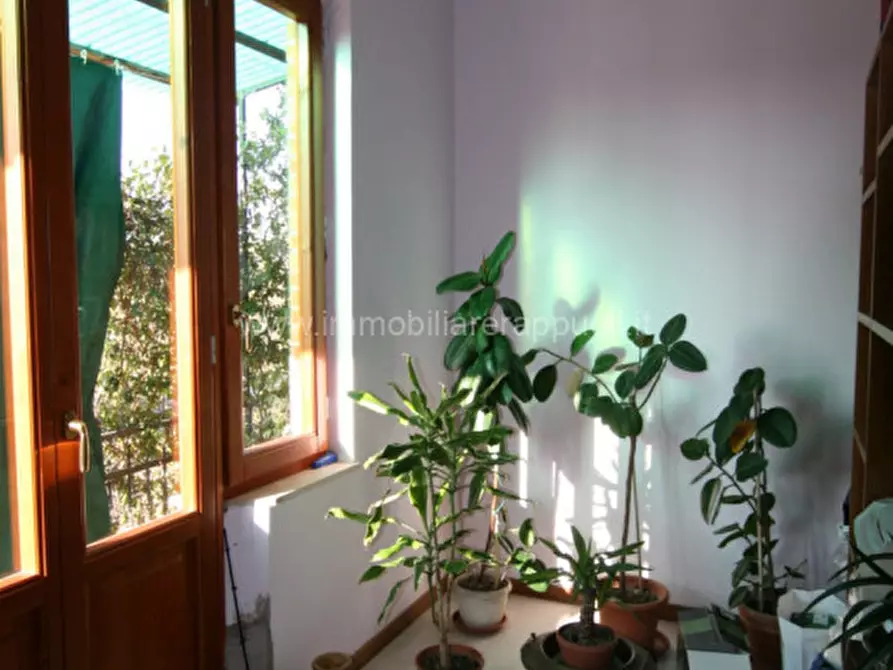 Immagine 13 di Casa indipendente in vendita  a Sinalunga