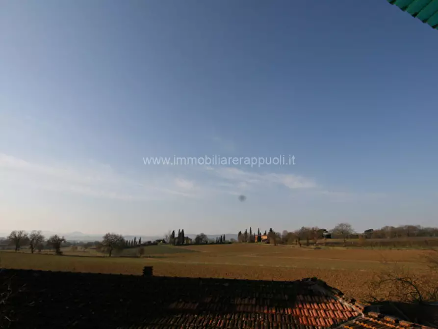 Immagine 16 di Casa indipendente in vendita  a Sinalunga