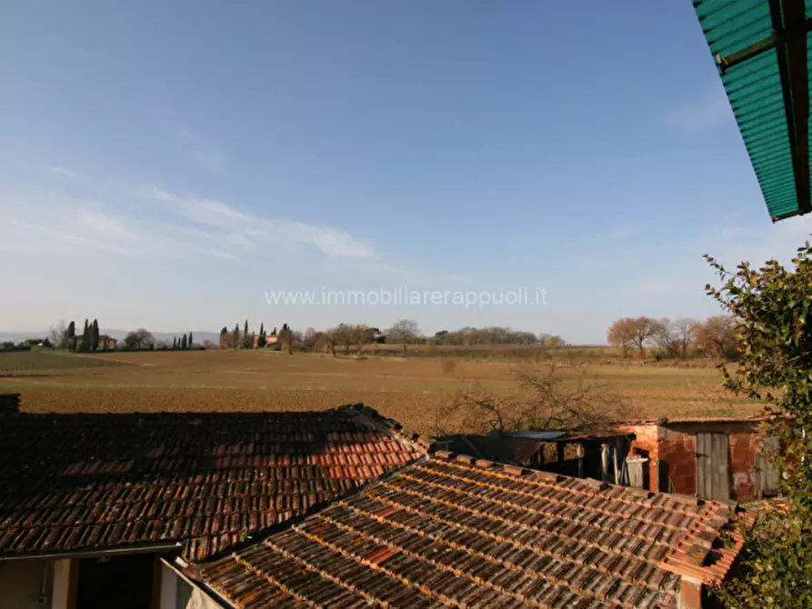 Immagine 17 di Casa indipendente in vendita  a Sinalunga