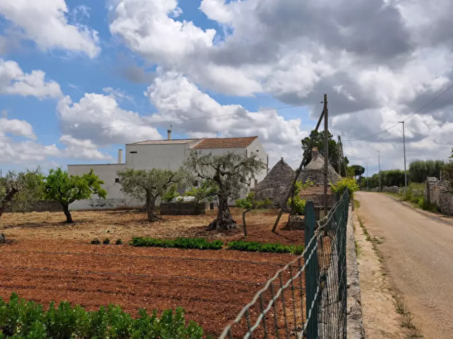 Immagine 4 di Rustico / casale in vendita  a Alberobello