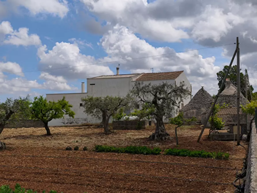 Immagine 5 di Rustico / casale in vendita  a Alberobello