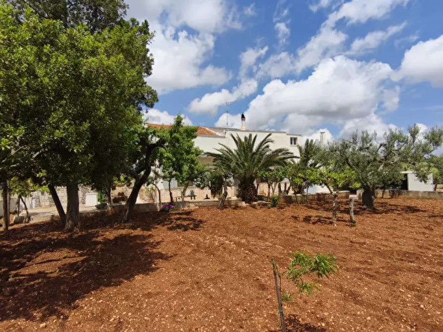 Immagine 7 di Rustico / casale in vendita  a Alberobello