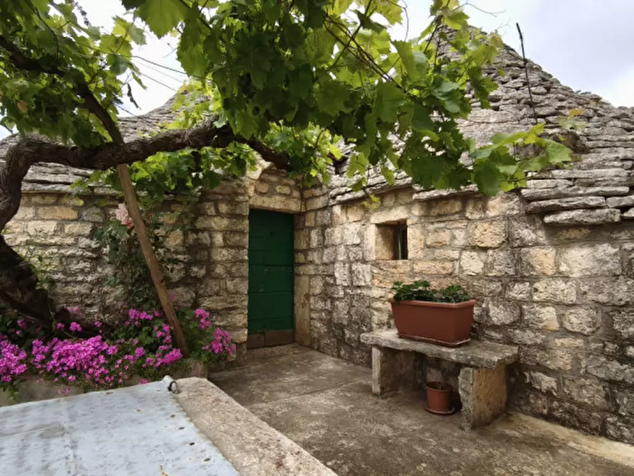 Immagine 11 di Rustico / casale in vendita  a Alberobello