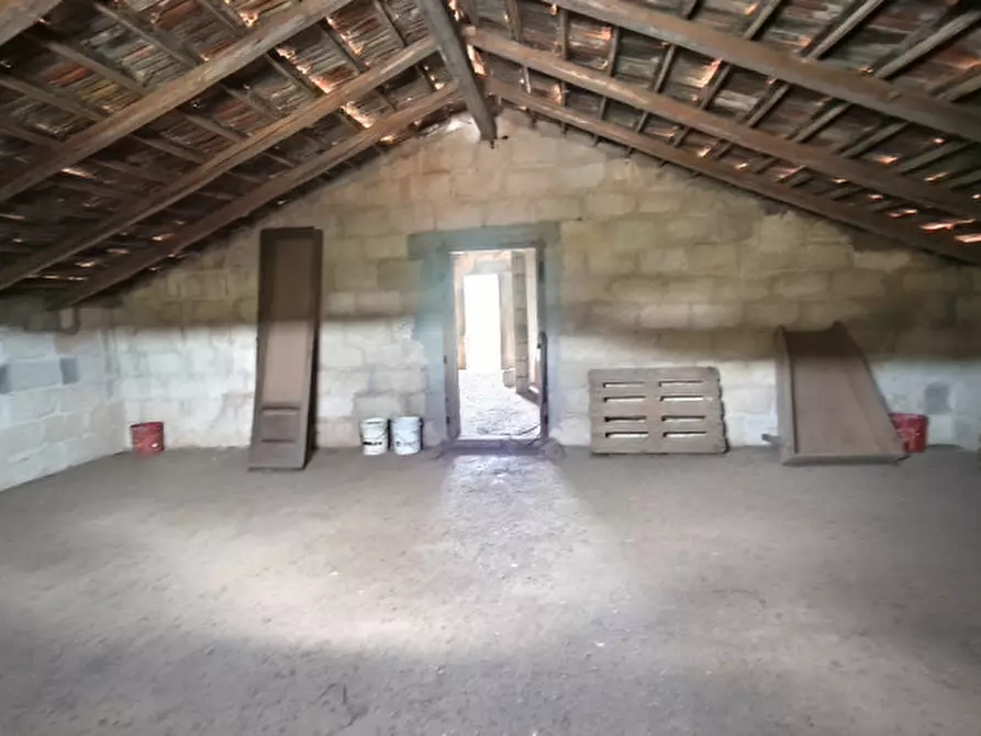 Immagine 50 di Rustico / casale in vendita  a Alberobello