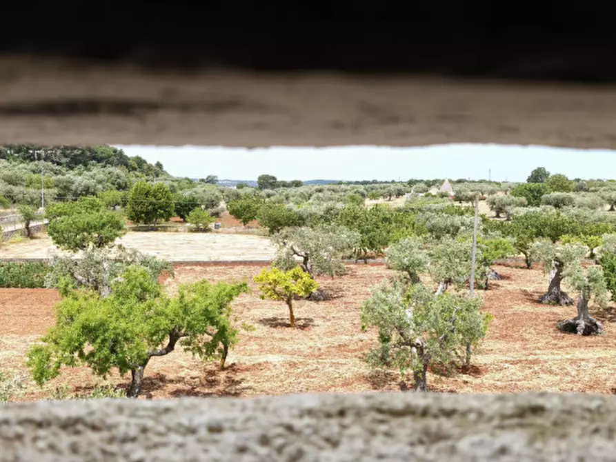 Immagine 53 di Rustico / casale in vendita  a Alberobello